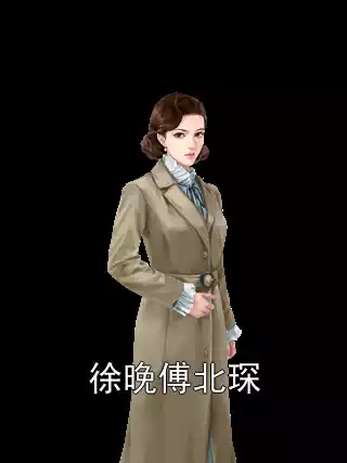 徐晚傅北琛小说