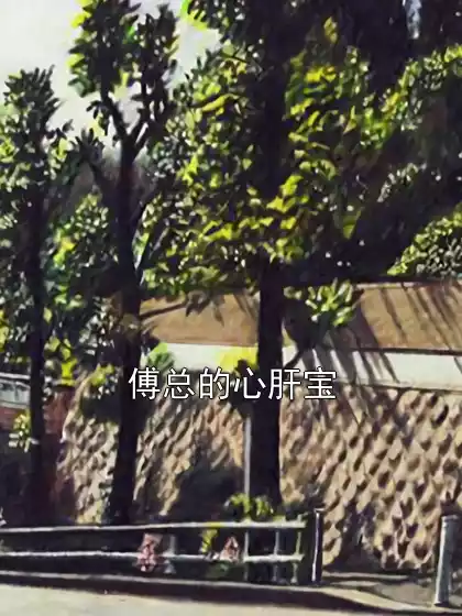傅总的心肝宝小说