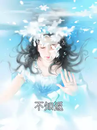 不知返小说