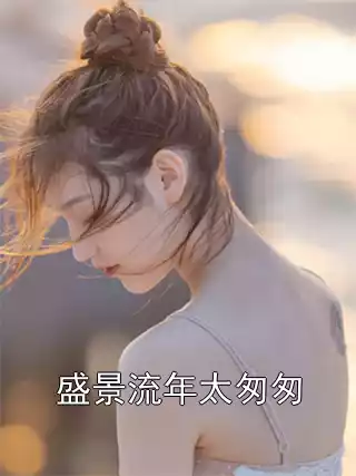 盛景流年太匆匆