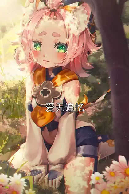爱无追忆小说
