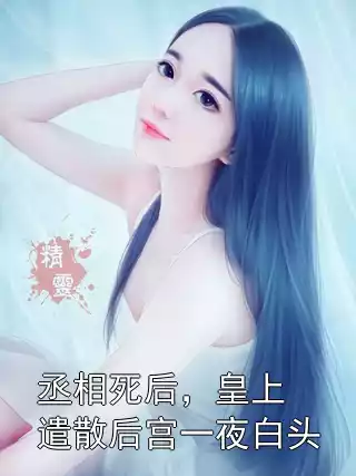 丞相死后，皇上遣散后宫一夜白头小说