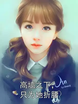 高墙之下，只为她折腰小说