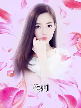 梅刺小说
