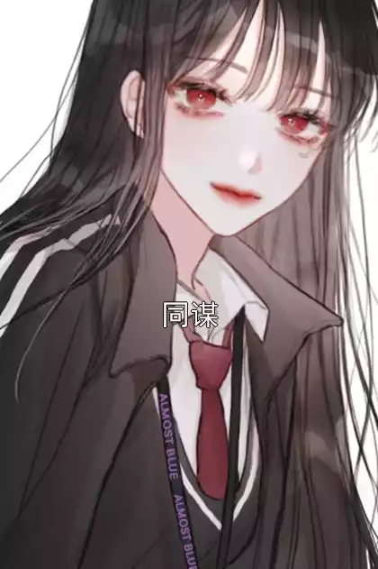 同谋小说