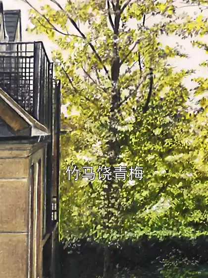竹马饶青梅小说