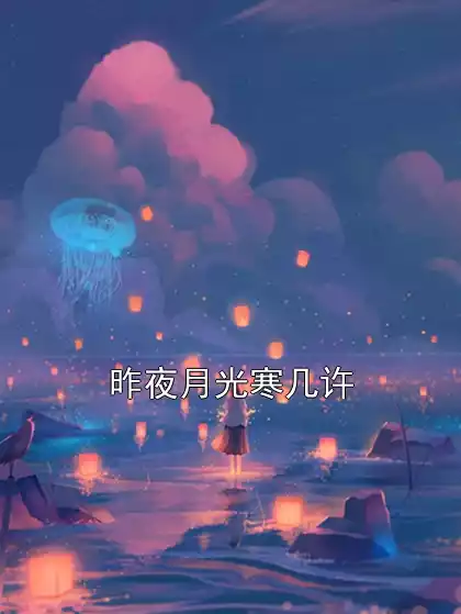 昨夜月光寒几许小说