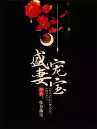 盛宠妻宝小说