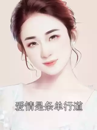 爱情是条单行道小说