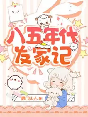 八五年代发家记小说