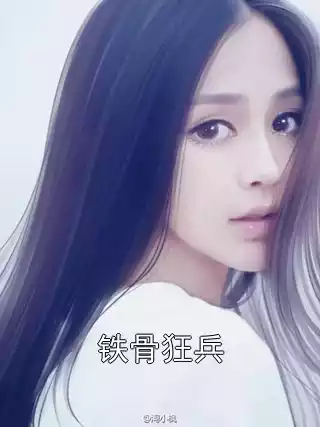 铁骨狂兵小说
