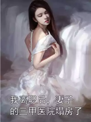我离职后，妻子的三甲医院塌房了小说