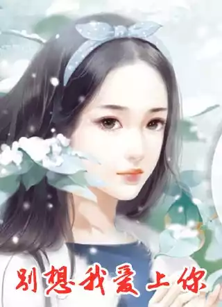 别想我爱上你小说