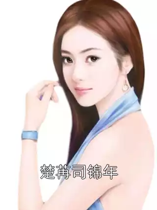 楚苒司锦年小说