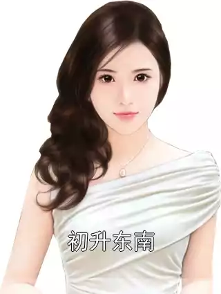 初升东南小说