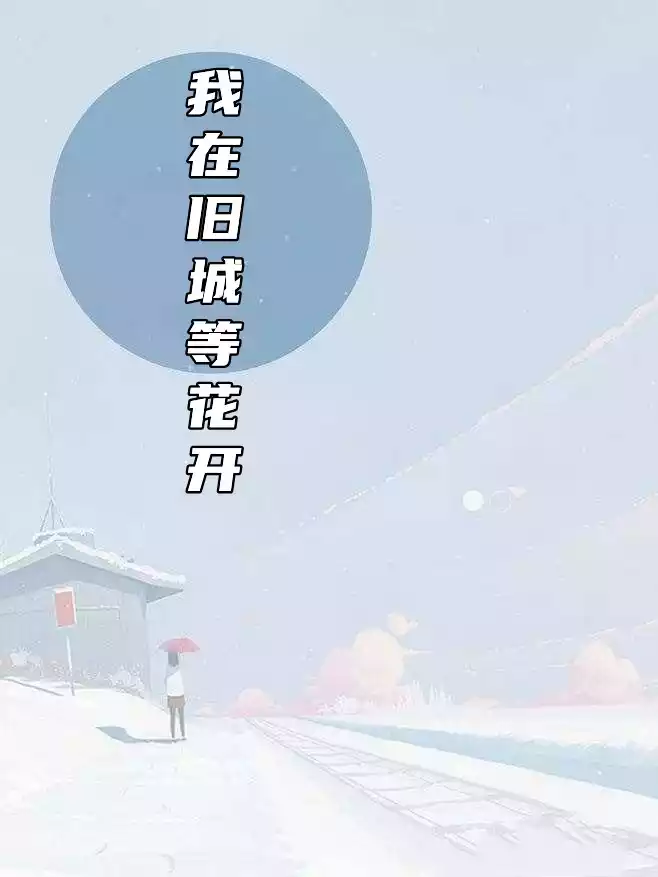 我在旧城等花开小说