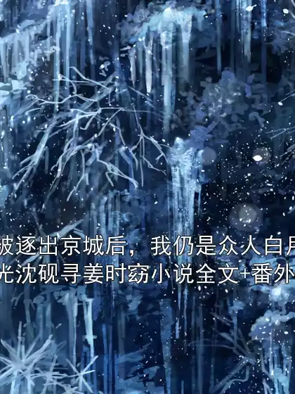 被逐出京城后，我仍是众人白月光沈砚寻姜时窈小说全文+番外