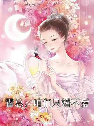 霍总，咱们只婚不爱小说
