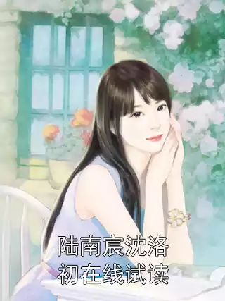 陆南宸沈洛初在线试读小说