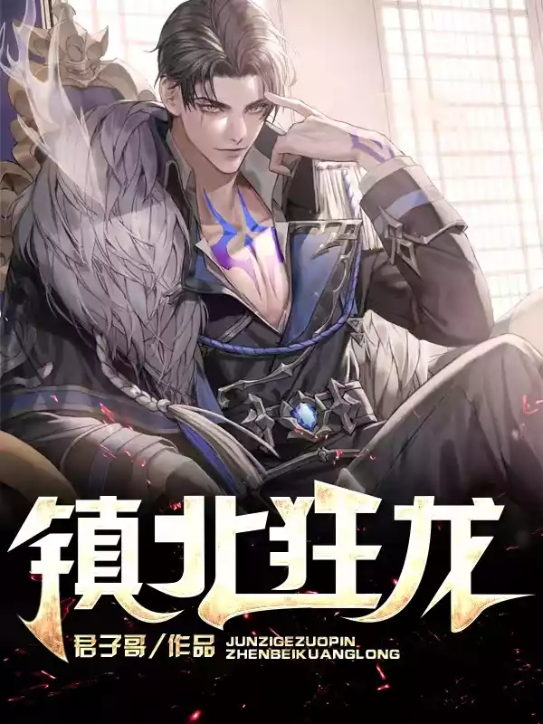 镇北狂龙小说