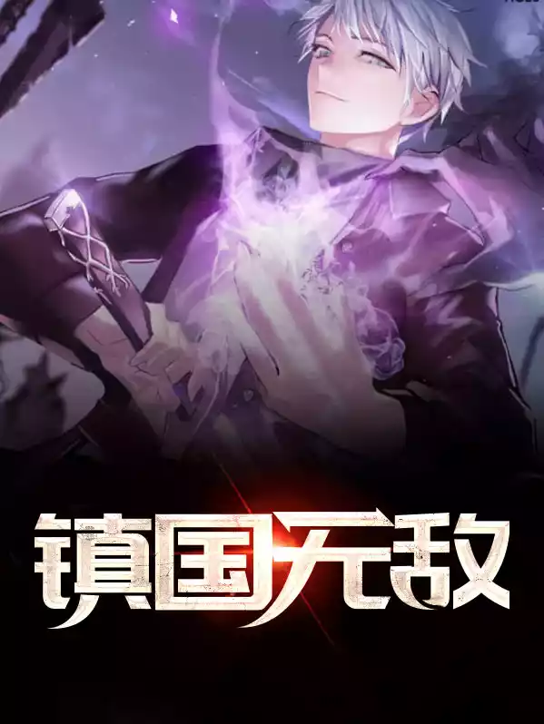 镇国无敌小说