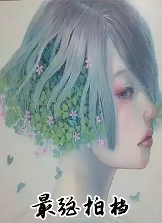 最强拍档