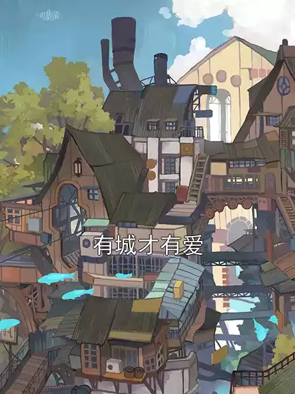 有城才有爱小说