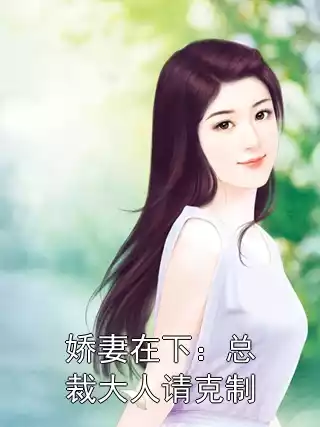 娇妻在下：总裁大人请克制小说