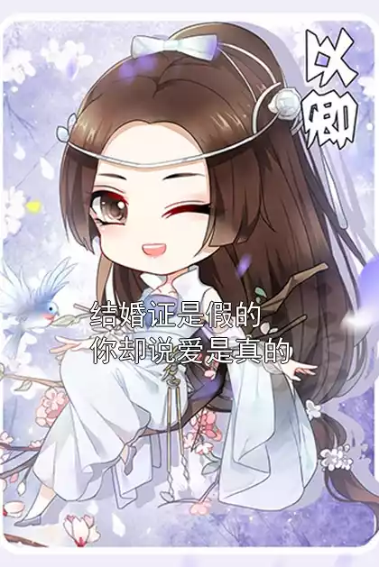结婚证是假的你却说爱是真的小说