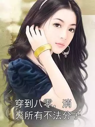 穿到八零，消灭所有不法分子小说