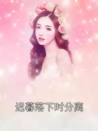 迟暮落下时分离