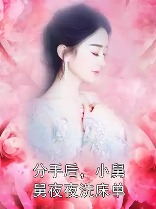 分手后，小舅舅夜夜洗床单小说
