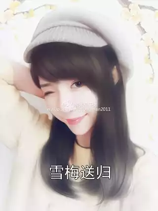 雪梅送归小说