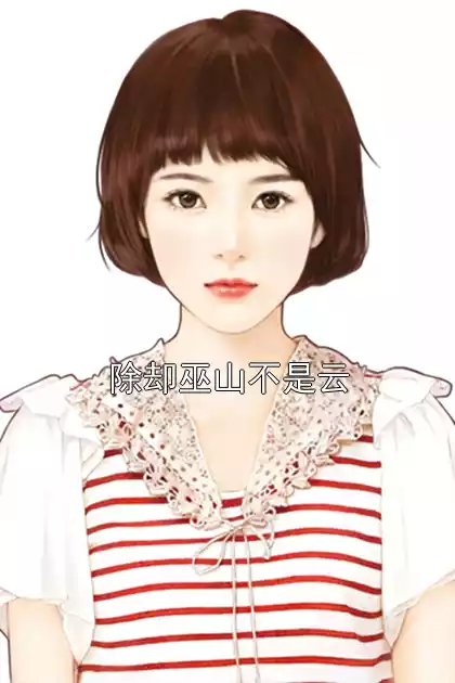 除却巫山不是云小说