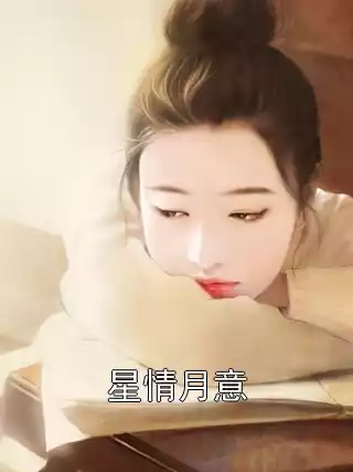 星情月意