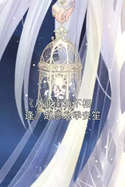 《从此南北不相逢》赵彦之季安笙小说