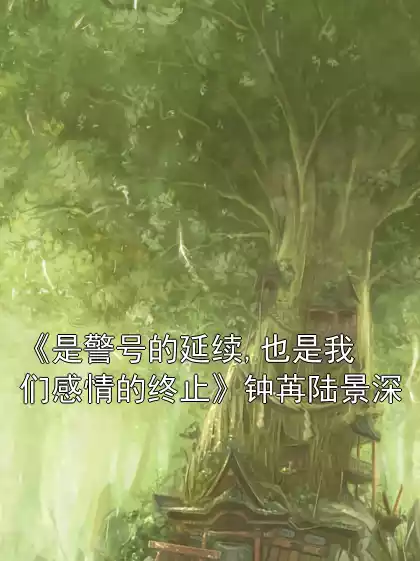 《是警号的延续,也是我们感情的终止》钟苒陆景深小说