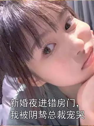 新婚夜进错房门，我被阴鸷总裁宠哭小说