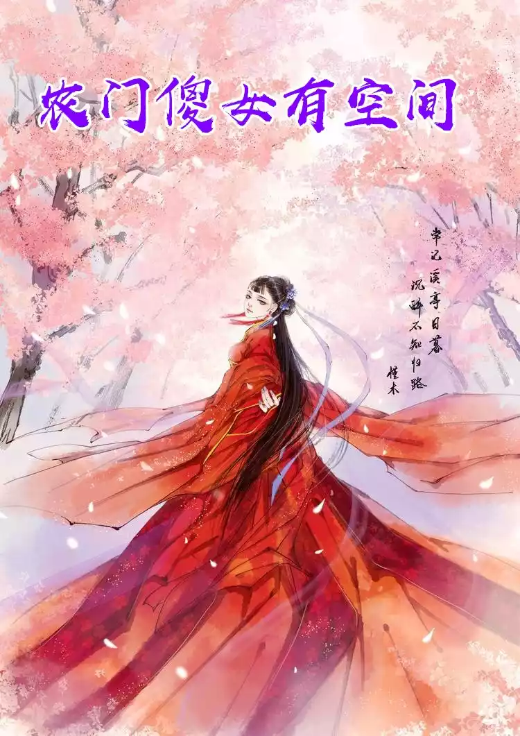 农门傻女有空间小说