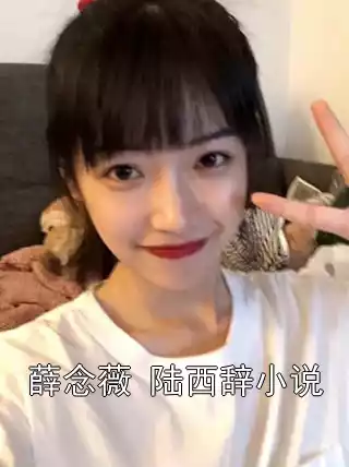 薛念薇 陆西辞小说小说