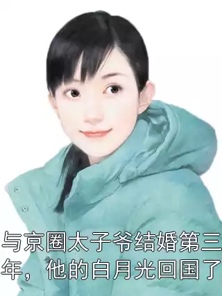 与京圈太子爷结婚第三年，他的白月光回国了小说