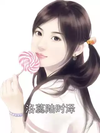 洛蕊陆时泽小说