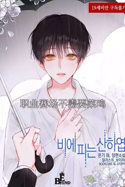 职业赛场不需要菜鸡小说