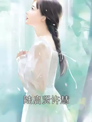 陆启贤许慧小说