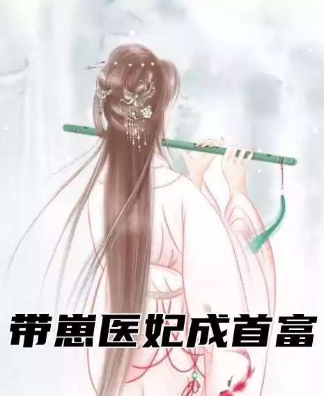 带崽医妃成首富小说