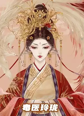 毒医玲珑小说