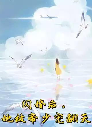 闪婚后她被帝少宠翻天小说