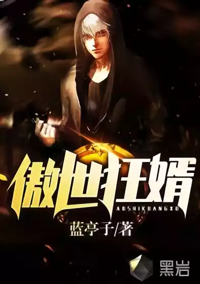 傲世狂婿小说