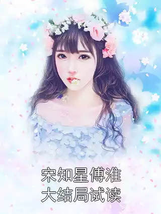 宋知星傅淮大结局试读