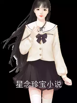 星念珍宝小说小说